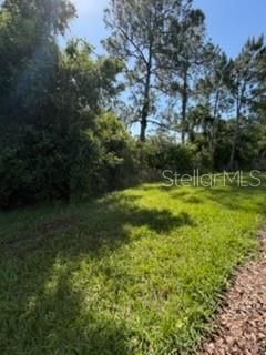 3918 Gaviota Drive , Sun City Center, FL 33573 Photo