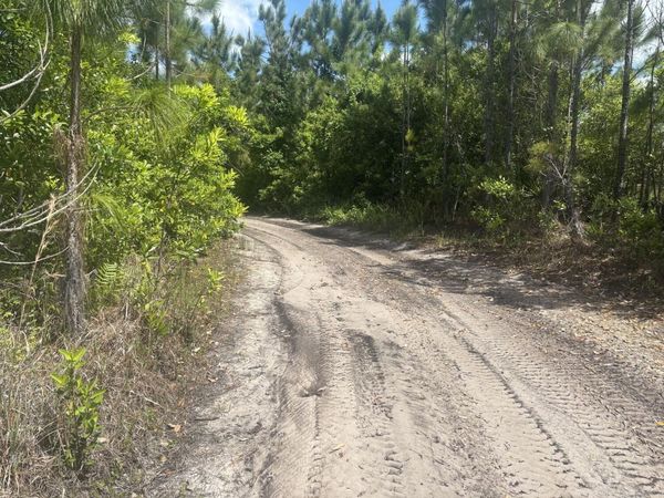 0 Holopaw Groves Road, St. Cloud, FL 34772