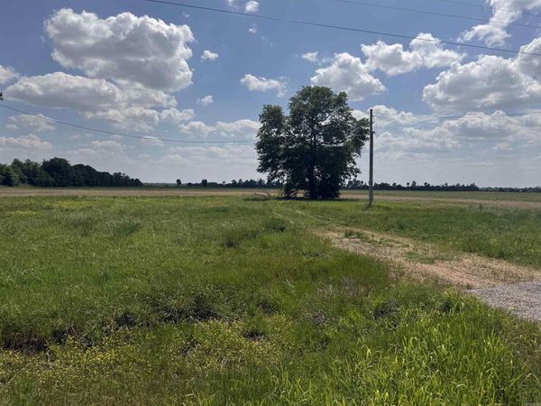 Marked Tree, AR 72365