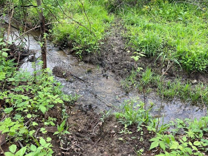 0 Camp Road , Mount Vernon, OH 43050 Photo 5