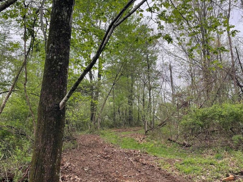 0 Camp Road , Mount Vernon, OH 43050 Photo 6