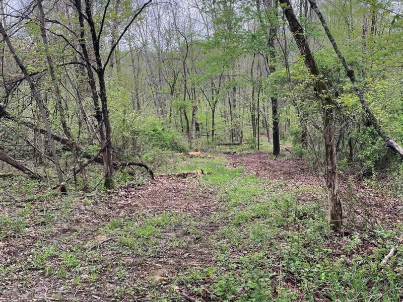 0 Camp Road , Mount Vernon, OH 43050 Photo 8