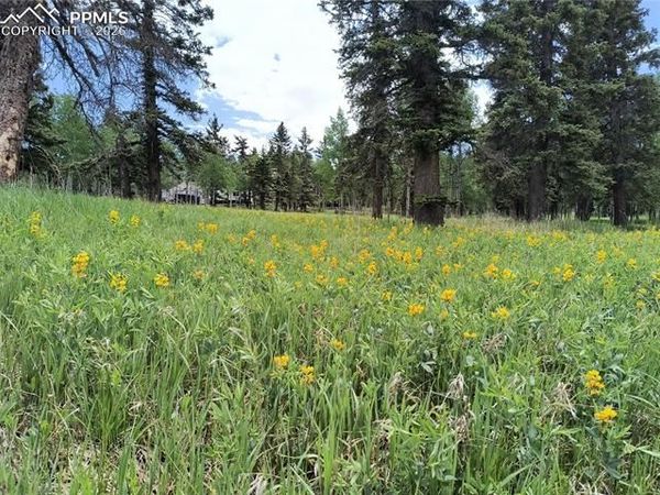 Will Scarlet Drive, Divide, CO 80814