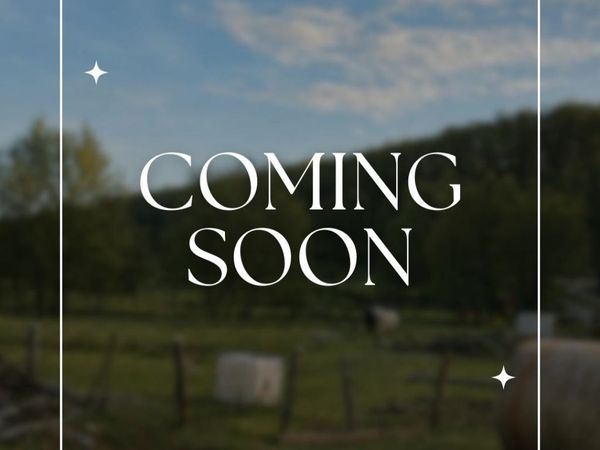 16047 Fry Drive, Cazenovia, WI 53924