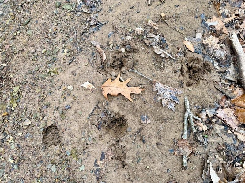 Hanson Road , Beverly, OH 45715 Photo 11