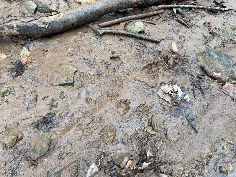 Hanson Road , Beverly, OH 45715 Photo 12