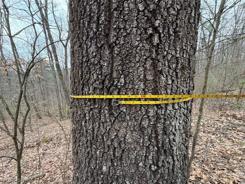 Hanson Road , Beverly, OH 45715 Photo 14