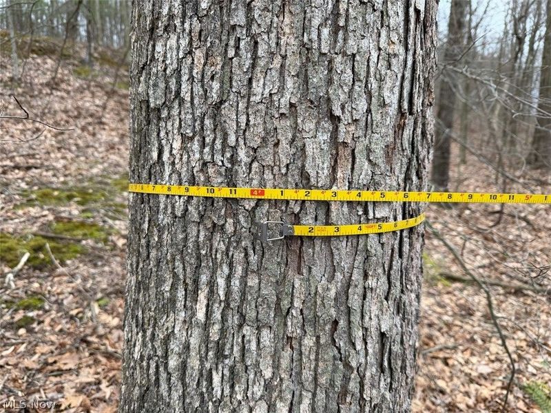 Hanson Road , Beverly, OH 45715 Photo 15