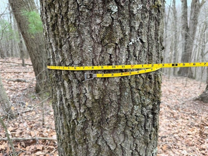 Hanson Road , Beverly, OH 45715 Photo 16