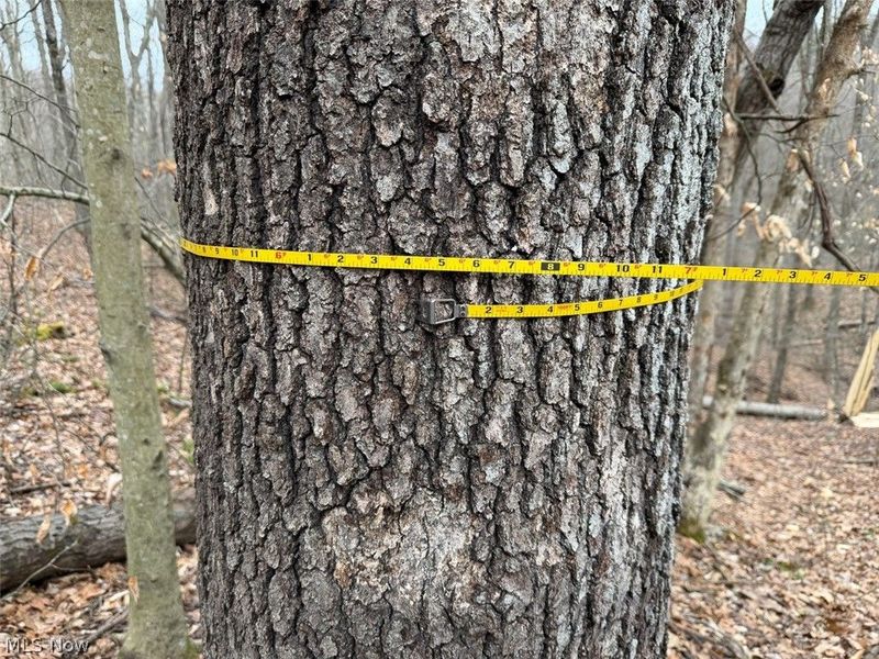 Hanson Road , Beverly, OH 45715 Photo 17