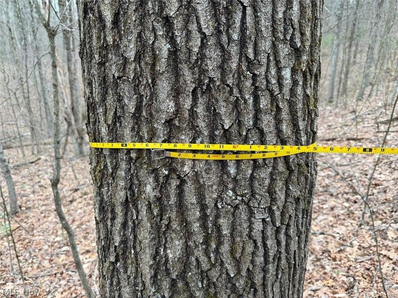 Hanson Road , Beverly, OH 45715 Photo 18