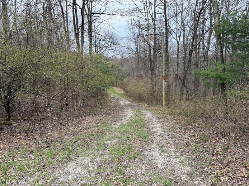 Hanson Road , Beverly, OH 45715 Photo 20