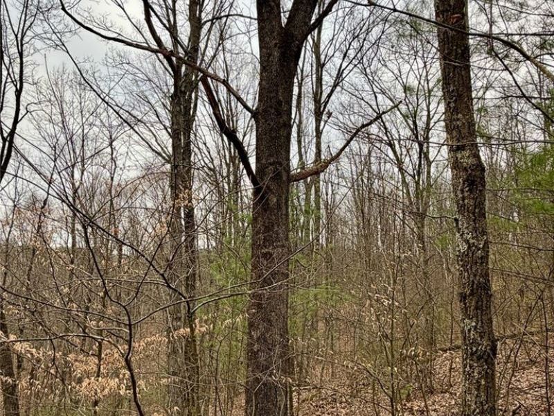 Hanson Road , Beverly, OH 45715 Photo 35