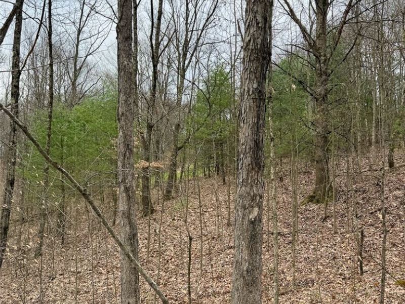 Hanson Road , Beverly, OH 45715 Photo 36