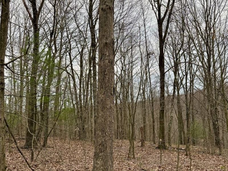 Hanson Road , Beverly, OH 45715 Photo 37