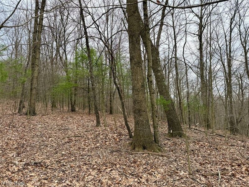 Hanson Road , Beverly, OH 45715 Photo 38