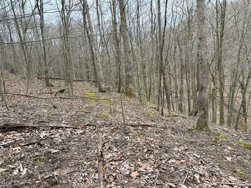 Hanson Road , Beverly, OH 45715 Photo 39