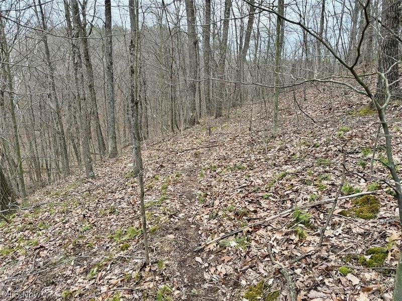 Hanson Road , Beverly, OH 45715 Photo 40