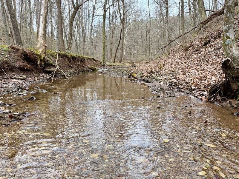 Hanson Road , Beverly, OH 45715 Photo 42