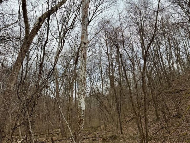 Hanson Road , Beverly, OH 45715 Photo 44