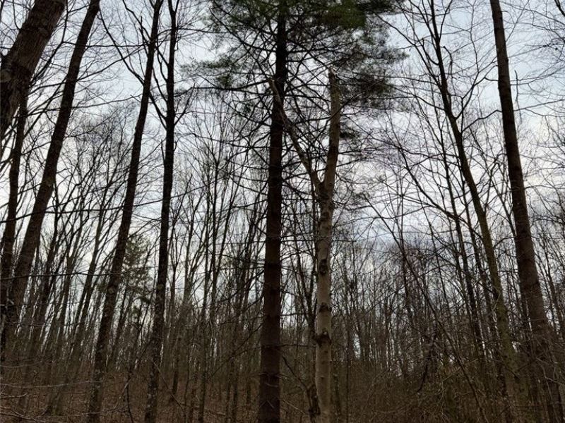 Hanson Road , Beverly, OH 45715 Photo 45