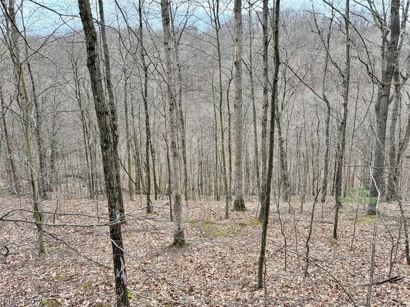 Hanson Road , Beverly, OH 45715 Photo 5