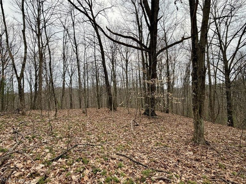 Hanson Road , Beverly, OH 45715 Photo 6