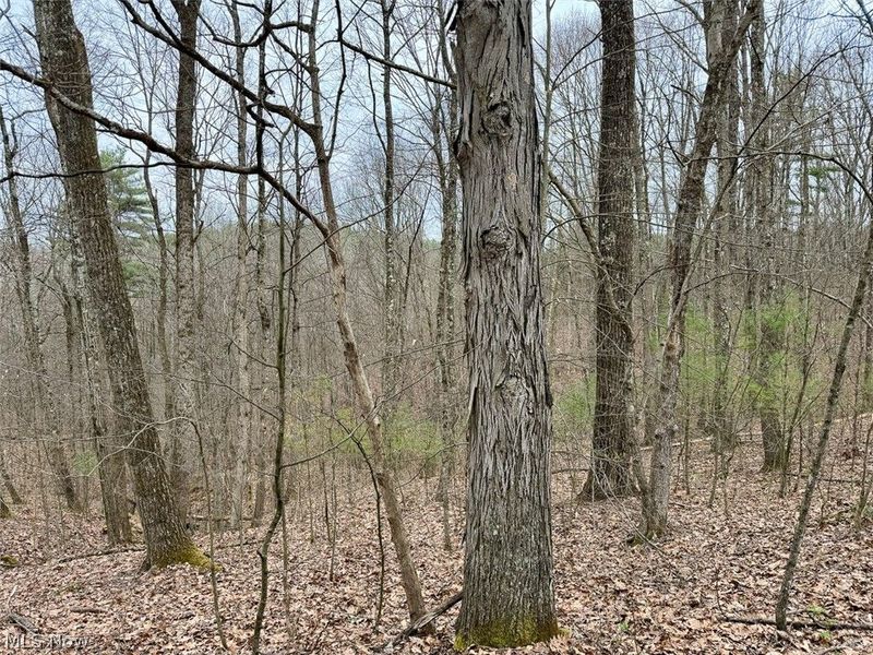 Hanson Road , Beverly, OH 45715 Photo 7