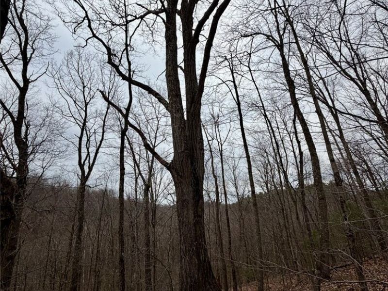 Hanson Road , Beverly, OH 45715 Photo 8