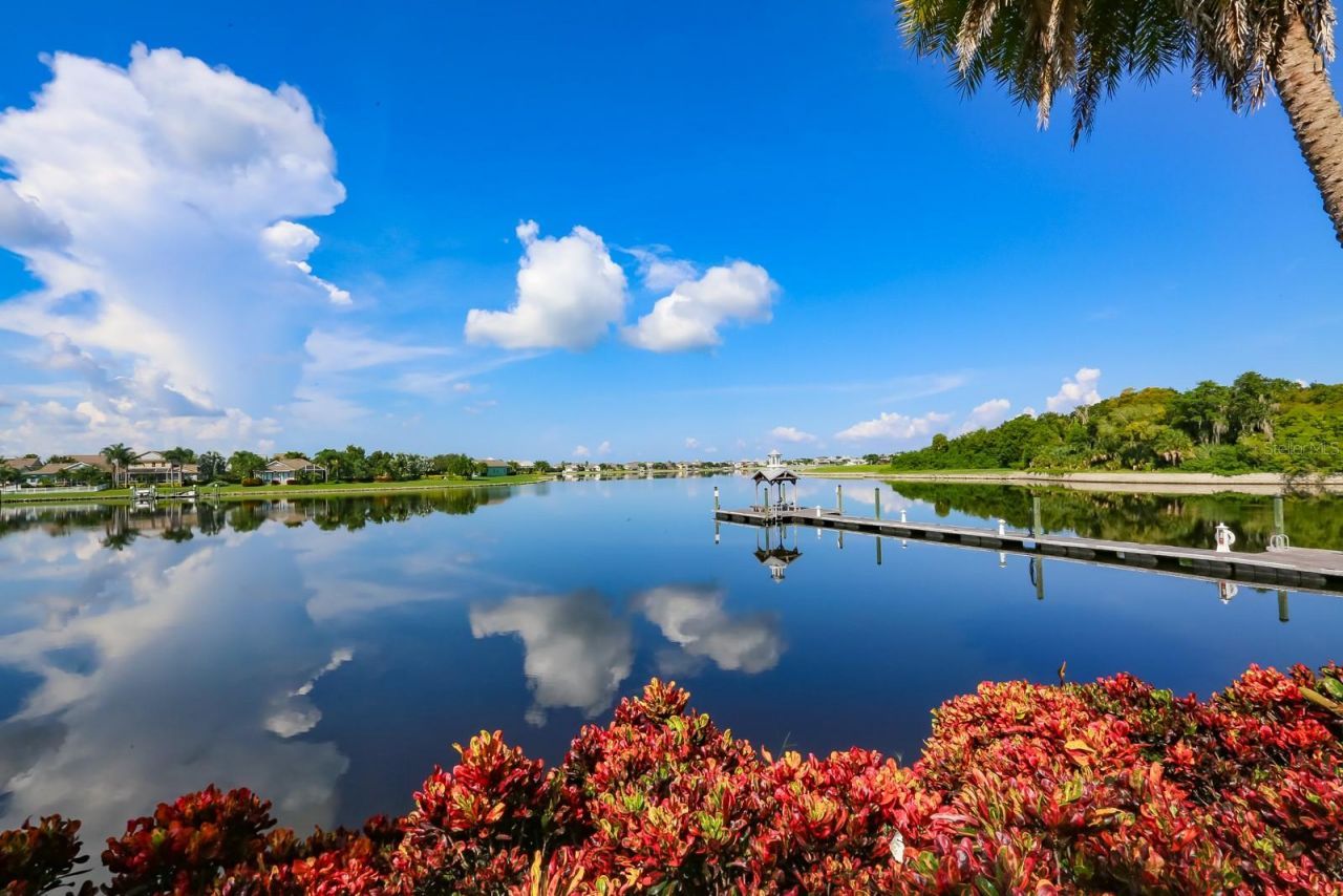 954 Signet Drive, Apollo Beach, FL 33572 Photo