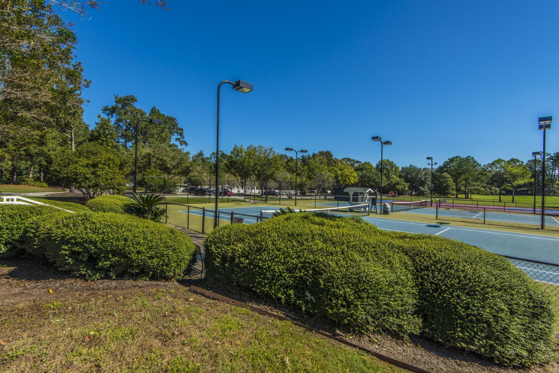 4216 Wildwood Landing Photo 57