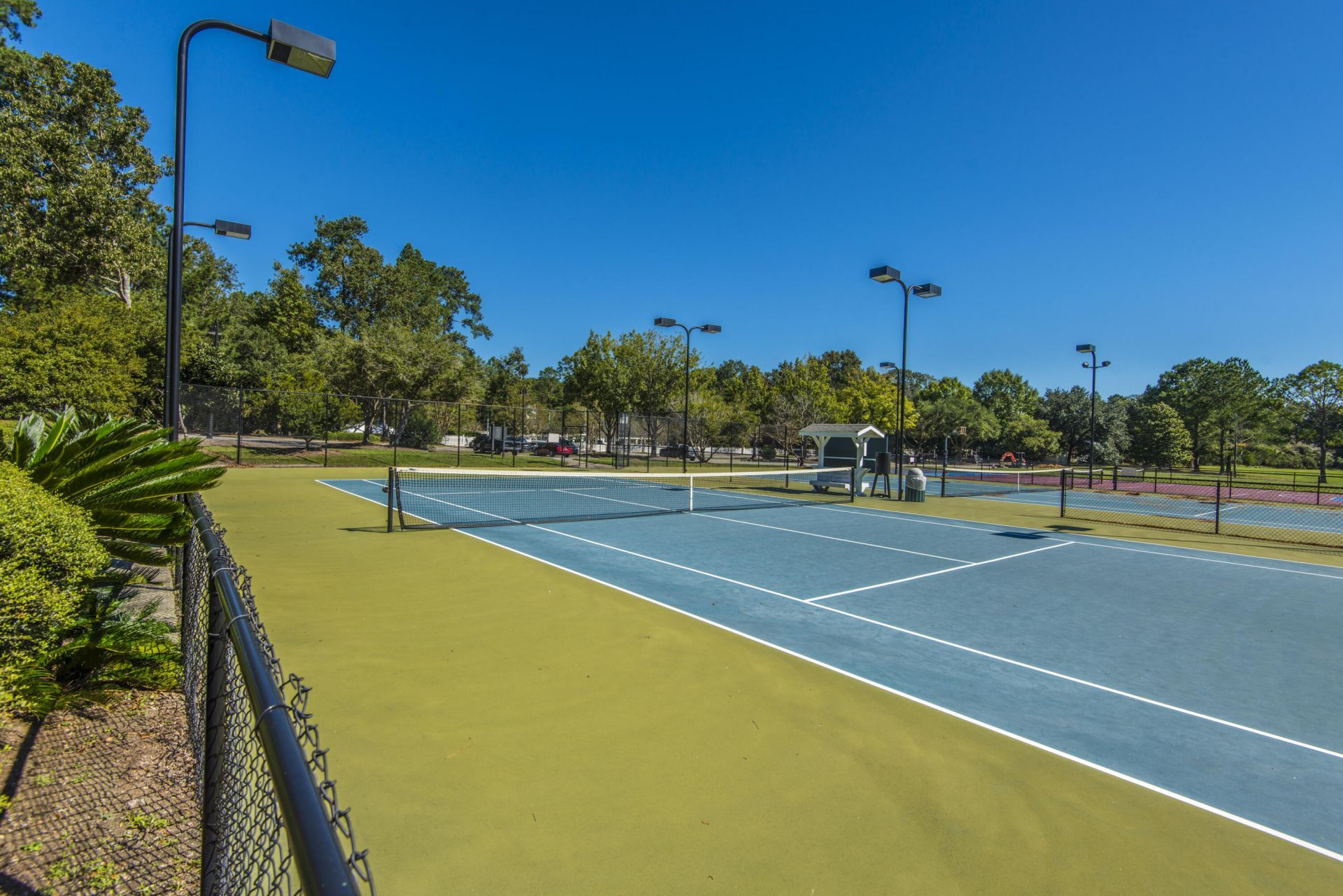 4216 Wildwood Landing Photo 58