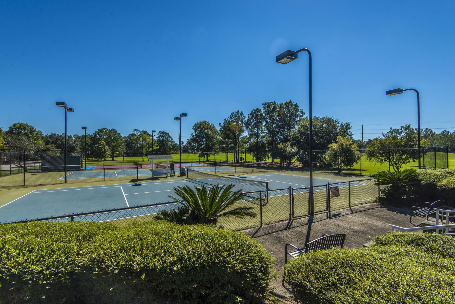 4216 Wildwood Landing Photo 59