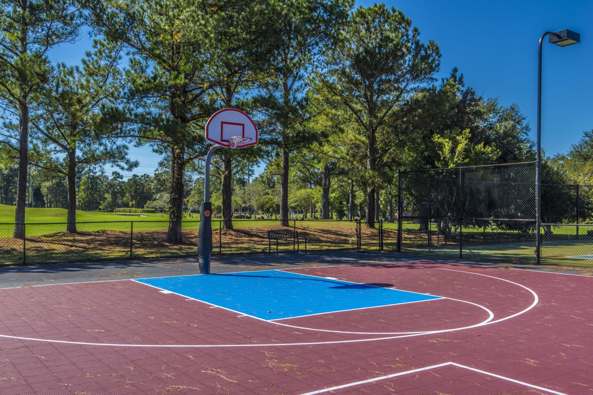 4216 Wildwood Landing Photo 62