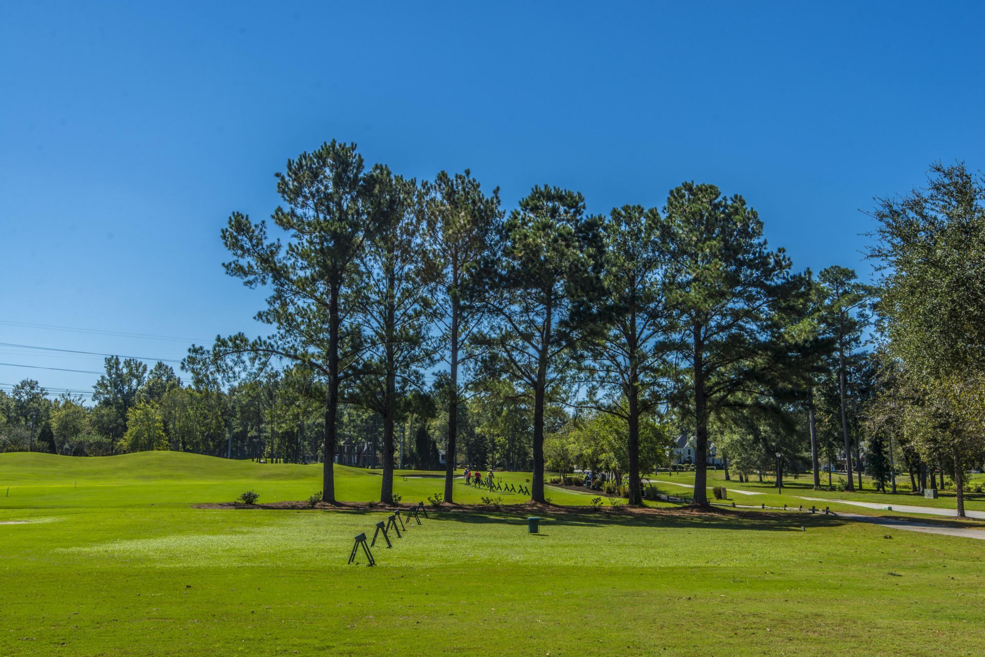 4216 Wildwood Landing Photo 72