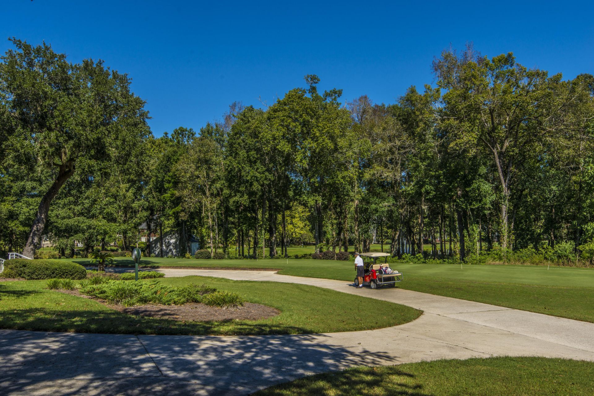 4216 Wildwood Landing Photo 73