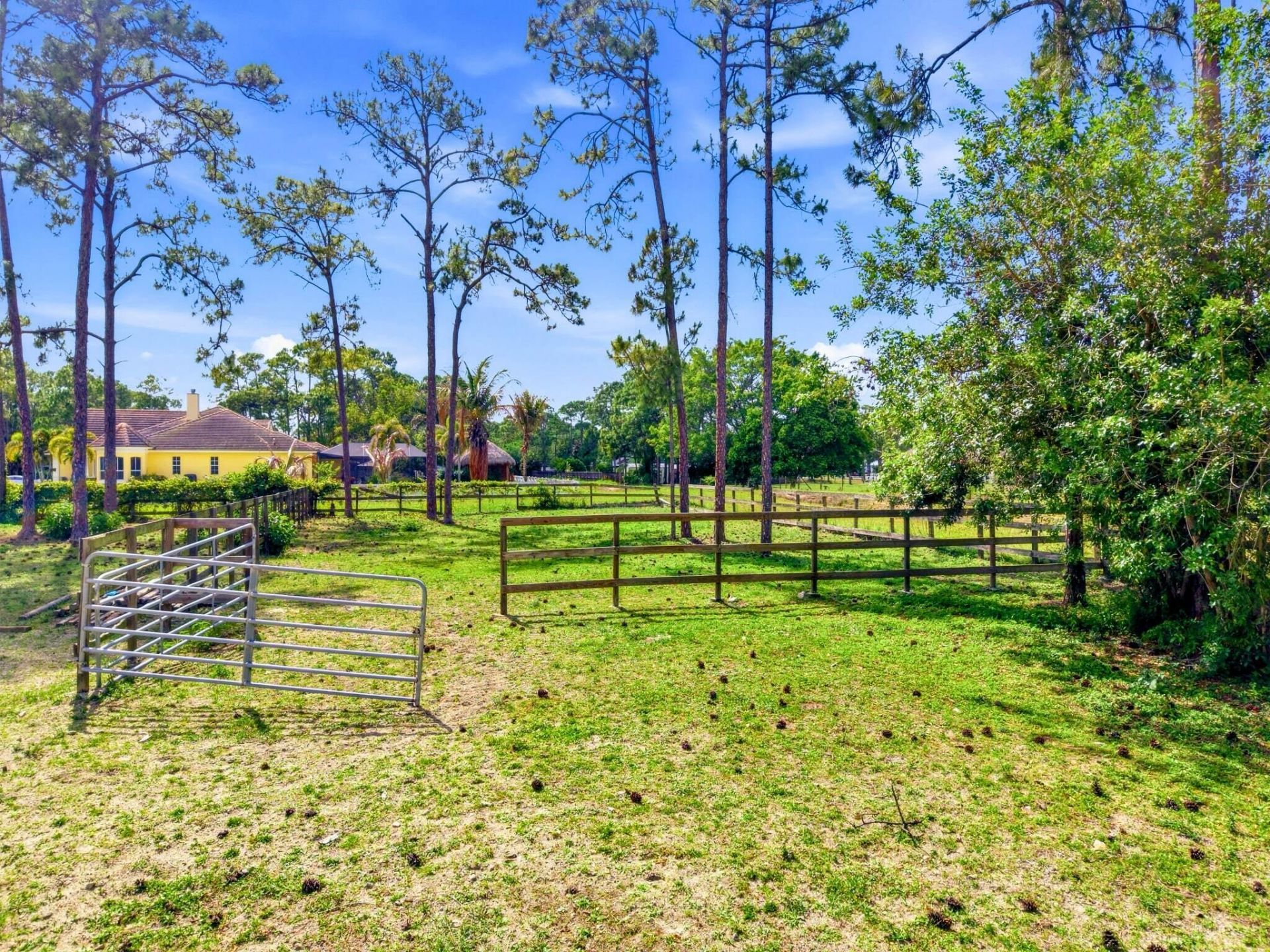 17221 87th Lane N, The Acreage, FL 33470 Photo