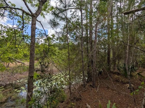 38521 ILEX TRAIL , EUSTIS, FL 32736