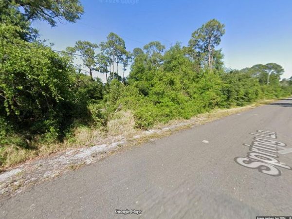 1523 SPRING LANE , LAKE PLACID, FL 33852