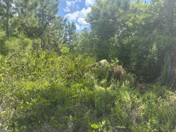 0 Holopaw Groves Road, St. Cloud, FL 34772