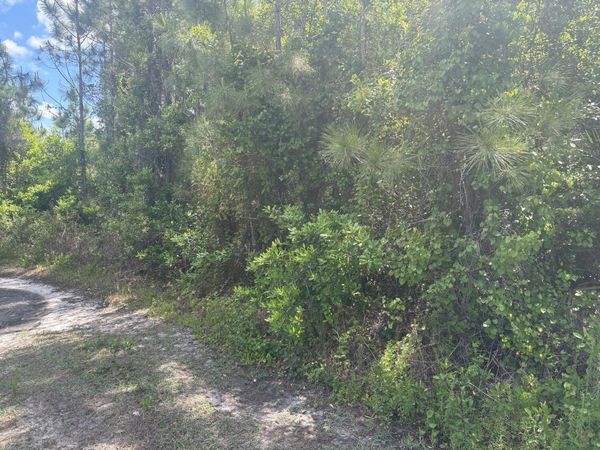 0 Holopaw Groves Road, St. Cloud, FL 34772