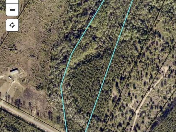 4490 Ga Highway 259, White Oak, GA 31568