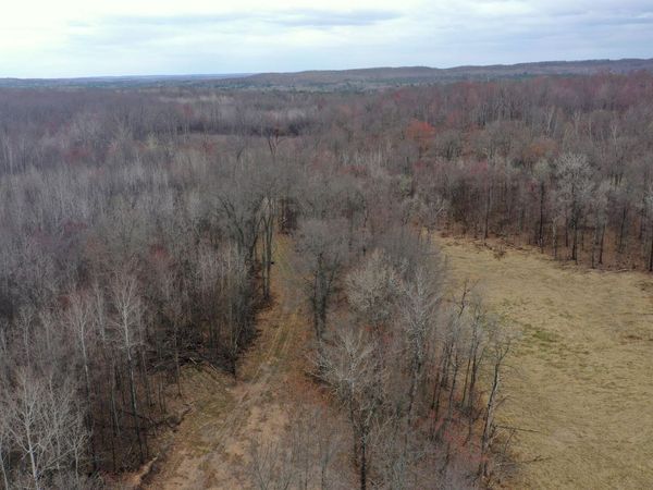 TBD Barrett Trail, Trego, WI 54888