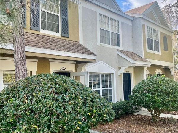 29916 ALTA VITA LANE , WESLEY CHAPEL, FL 33543