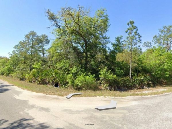 43 SEQUOIA TRAIL , OCKLAWAHA, FL 32179