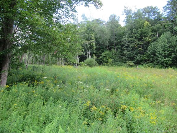 TBD Ferndale Road, Ferndale, NY 12734