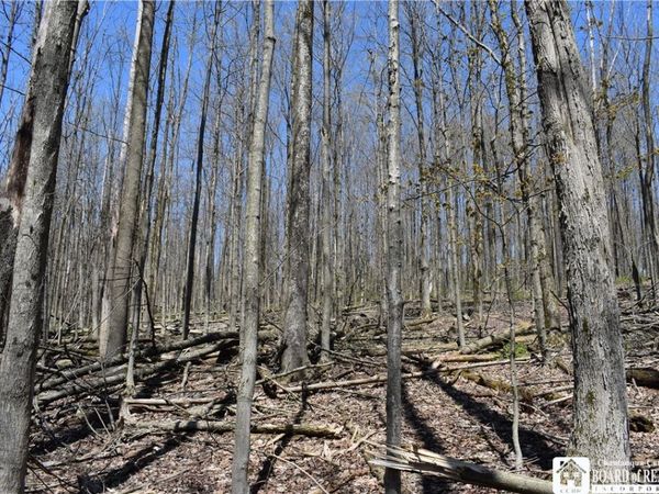 0 Cleland Road , Cherry Creek, NY 14723