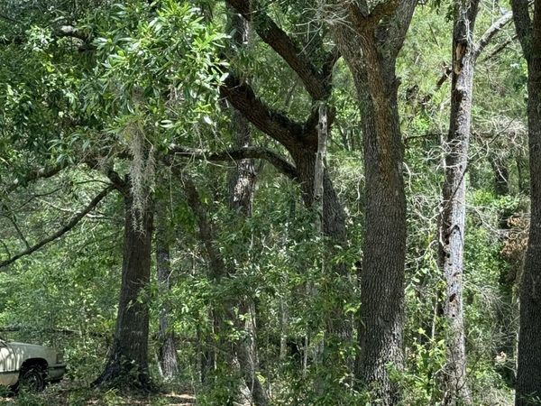 0 Dicks Street, Waveland, MS 39576