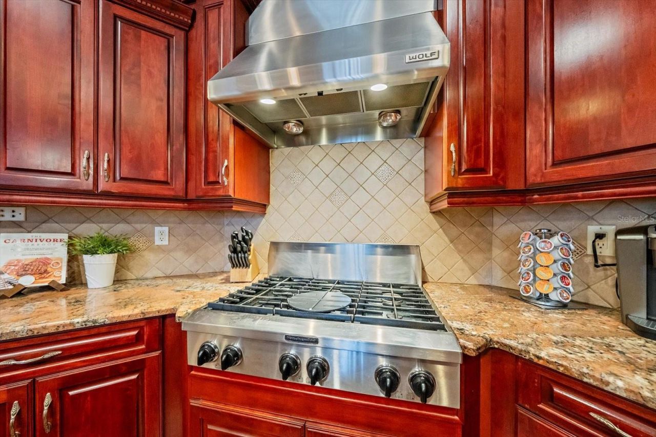 1615 Heritage Drive, Valrico, FL 33594 Photo