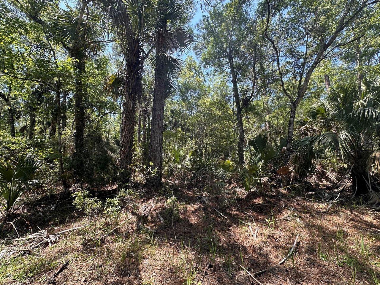 Tbd SW Cr-347 , Chiefland, FL 32644 Photo